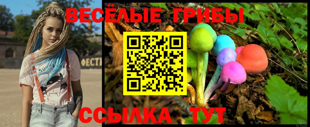 Галлюциногенные грибы Psilocybe Кумертау