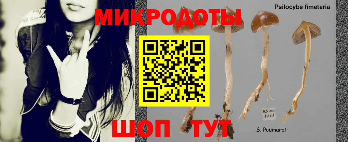 Кумертау  Галлюциногенные грибы MAGIC MUSHROOMS  Галлюциногенные грибы Psilocybe  Вход с VPN 